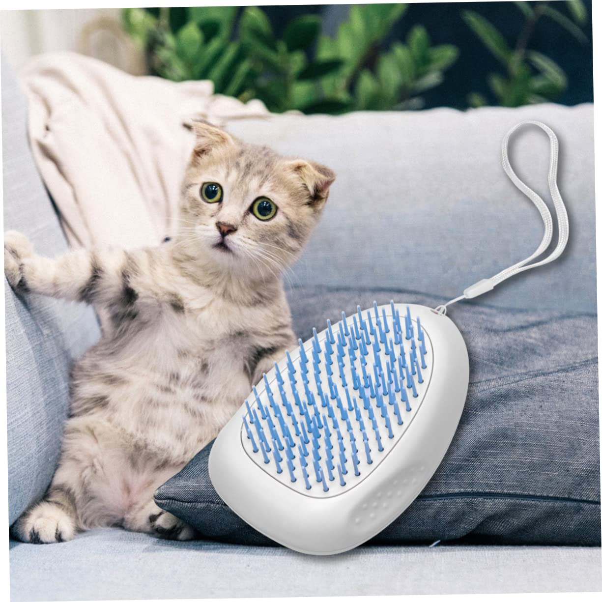 Angoily 3piezas Cepillo Quitapelos Para Mascotas Azul Peine Para Perros y Gatos Herramienta De Aseo Elimina Pelo Suelto y Diseño Antideslizante Con Lazo Para Colgar Práctico y
