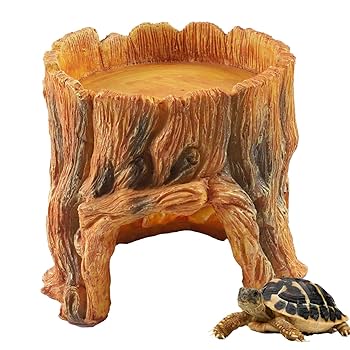 Amazon | PAKESI 爬虫類隠れ家 隠れ洞窟 爬虫類水餌ボウル 樹脂
