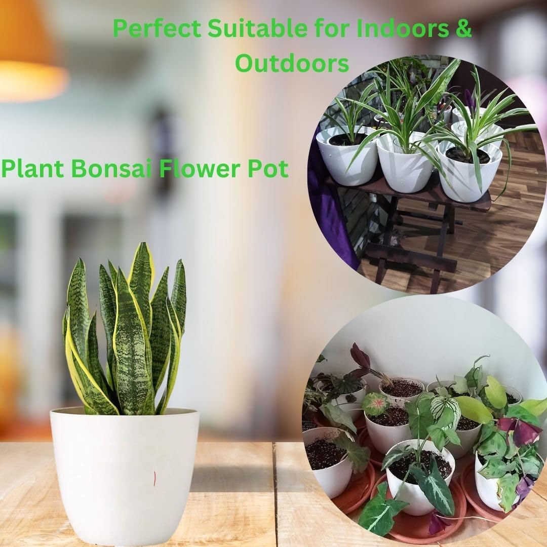 White Plastic Planters - 12 Pack -5