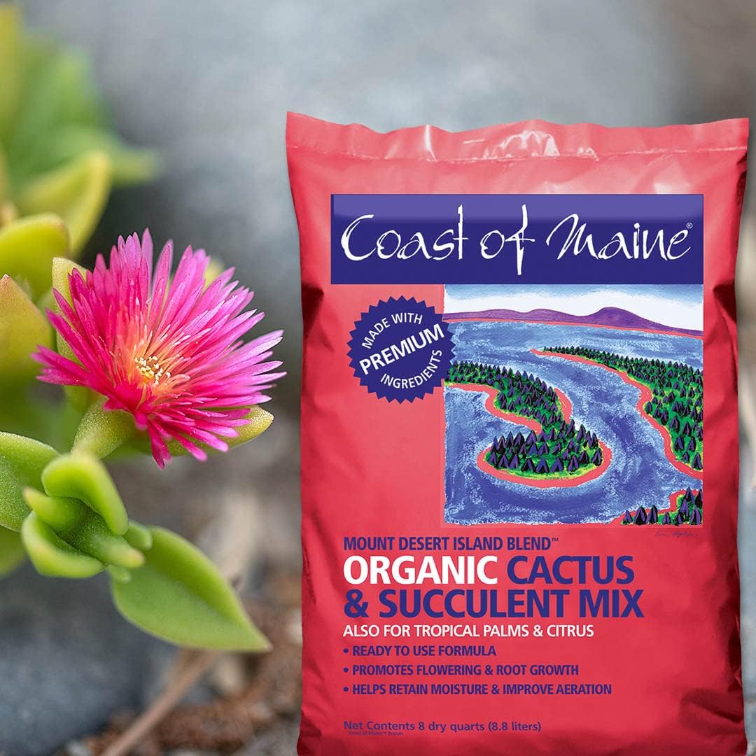 Coast of Maine - Mount Desert Island Blend - Organic Cactus and Succulent Mix, 8qt