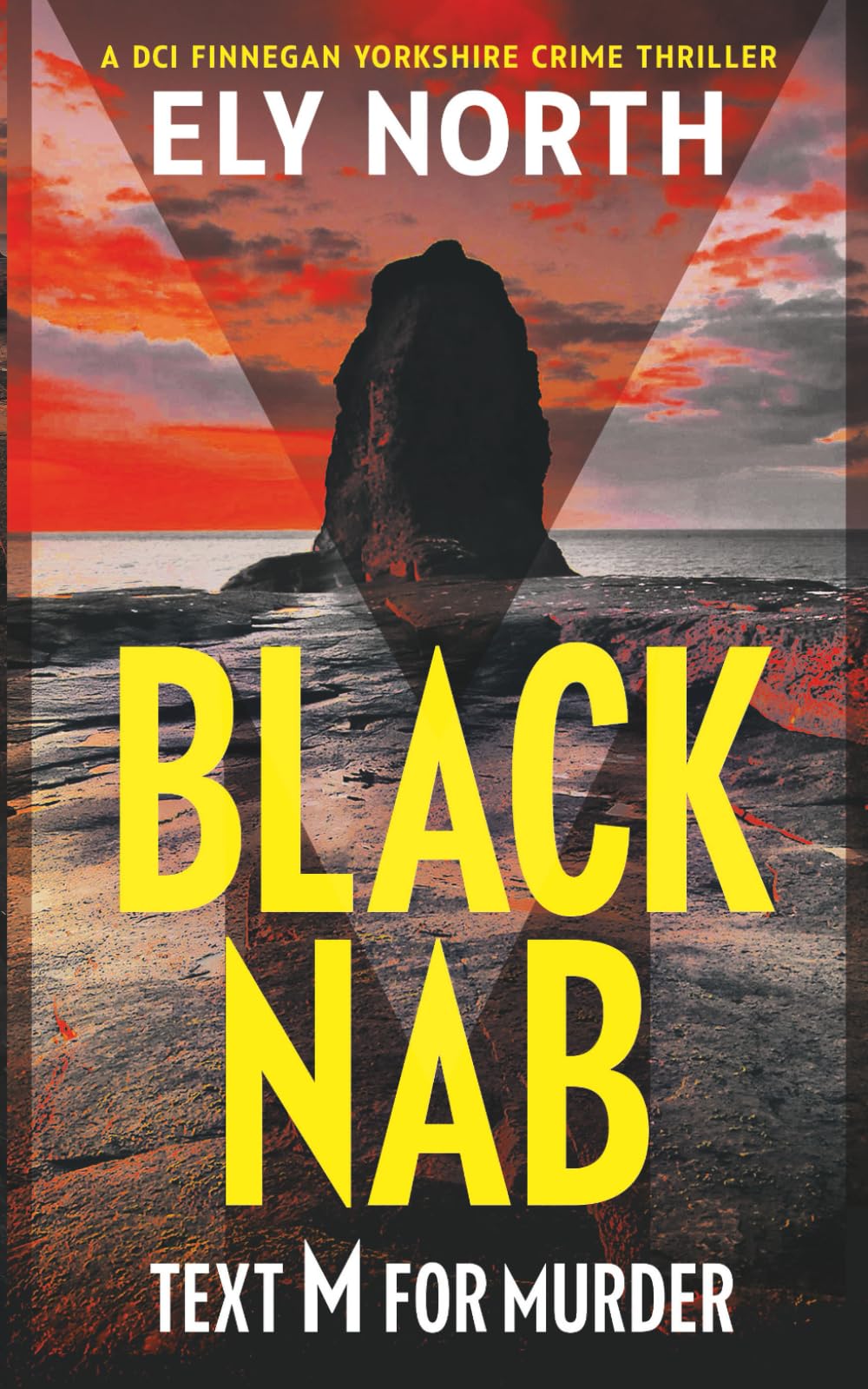 Black Nab: Text M For Murder: A DCI Finnegan Yorkshire Crime Thriller - Book 1