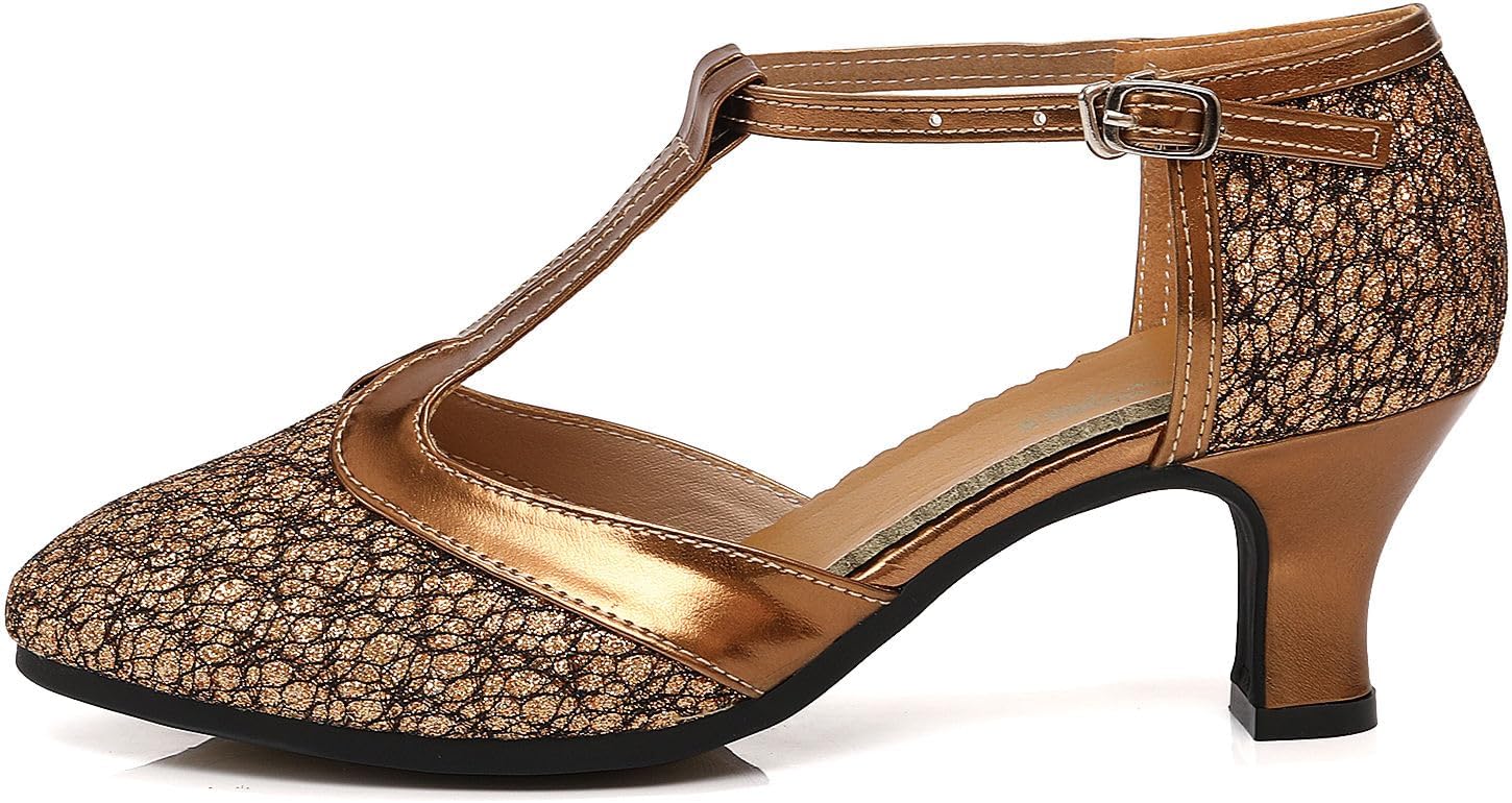 Women's Glitter Dance Shoes Flapper Gatsby 1920s Shoes Latin Tango Salsa Ballroom Heels