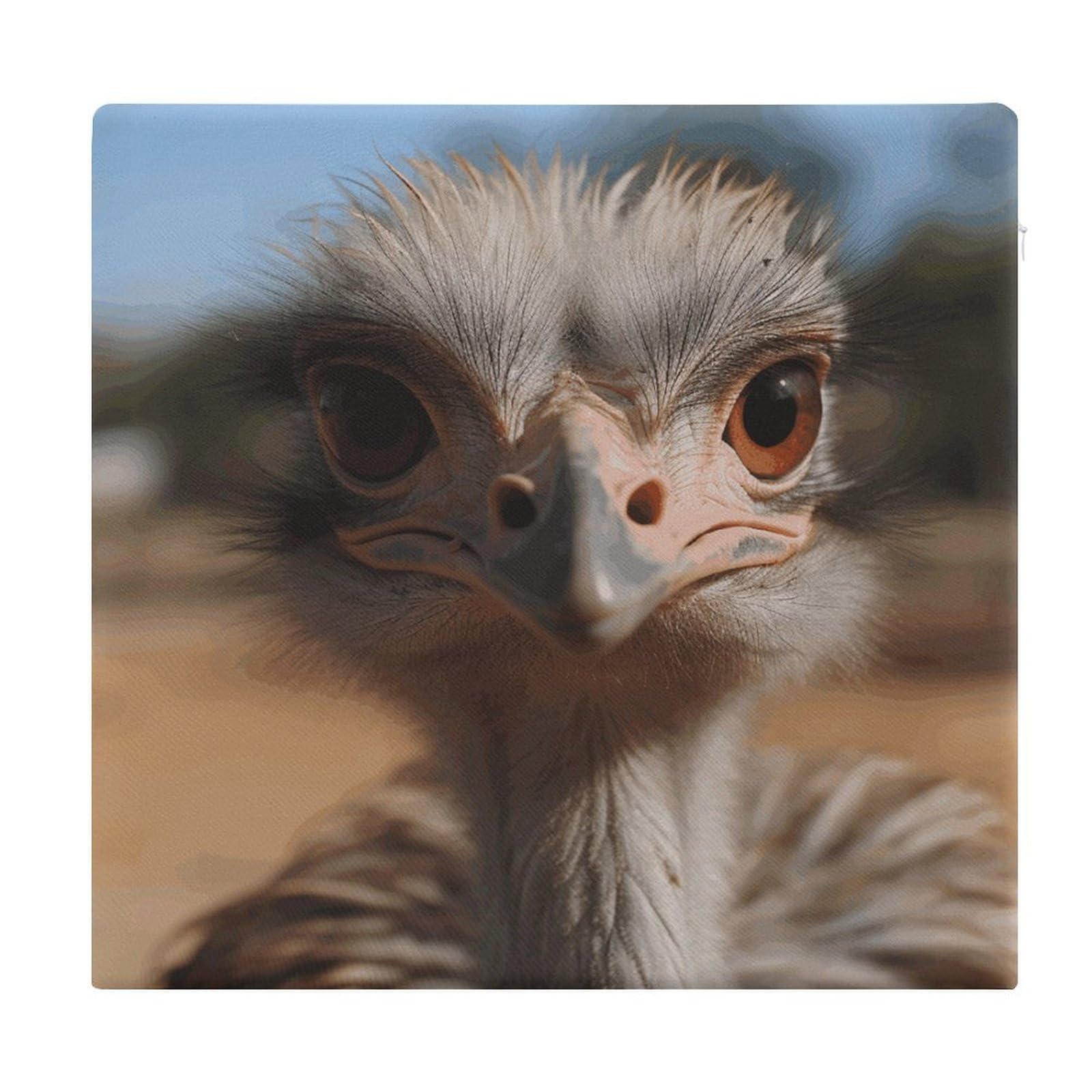 VstaDank Cute Ostrich Square Cushion Cute Memory Foam Seat Cushions15x13In Comfort Meditation Floor Pillow Removable Cover Soft Stool Cushion Pillow for Balcony Tatami