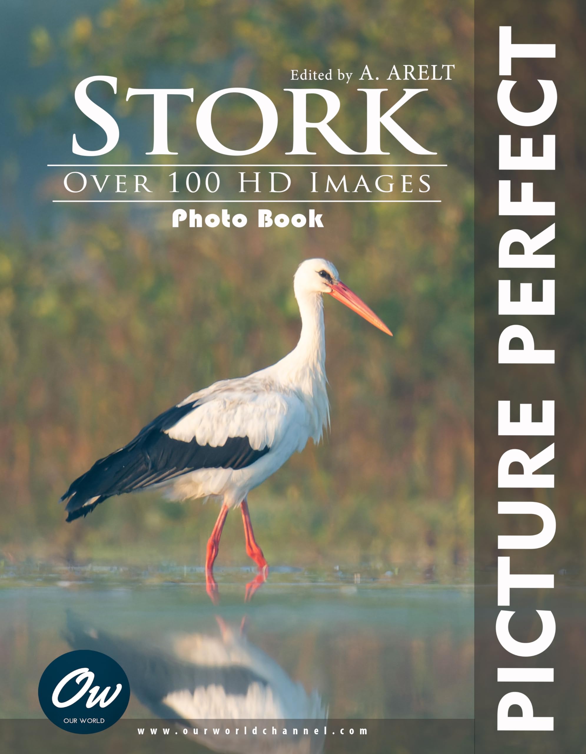 Picture Perfect Photo Book Stork améliorer votre technique visuelle livre anglais