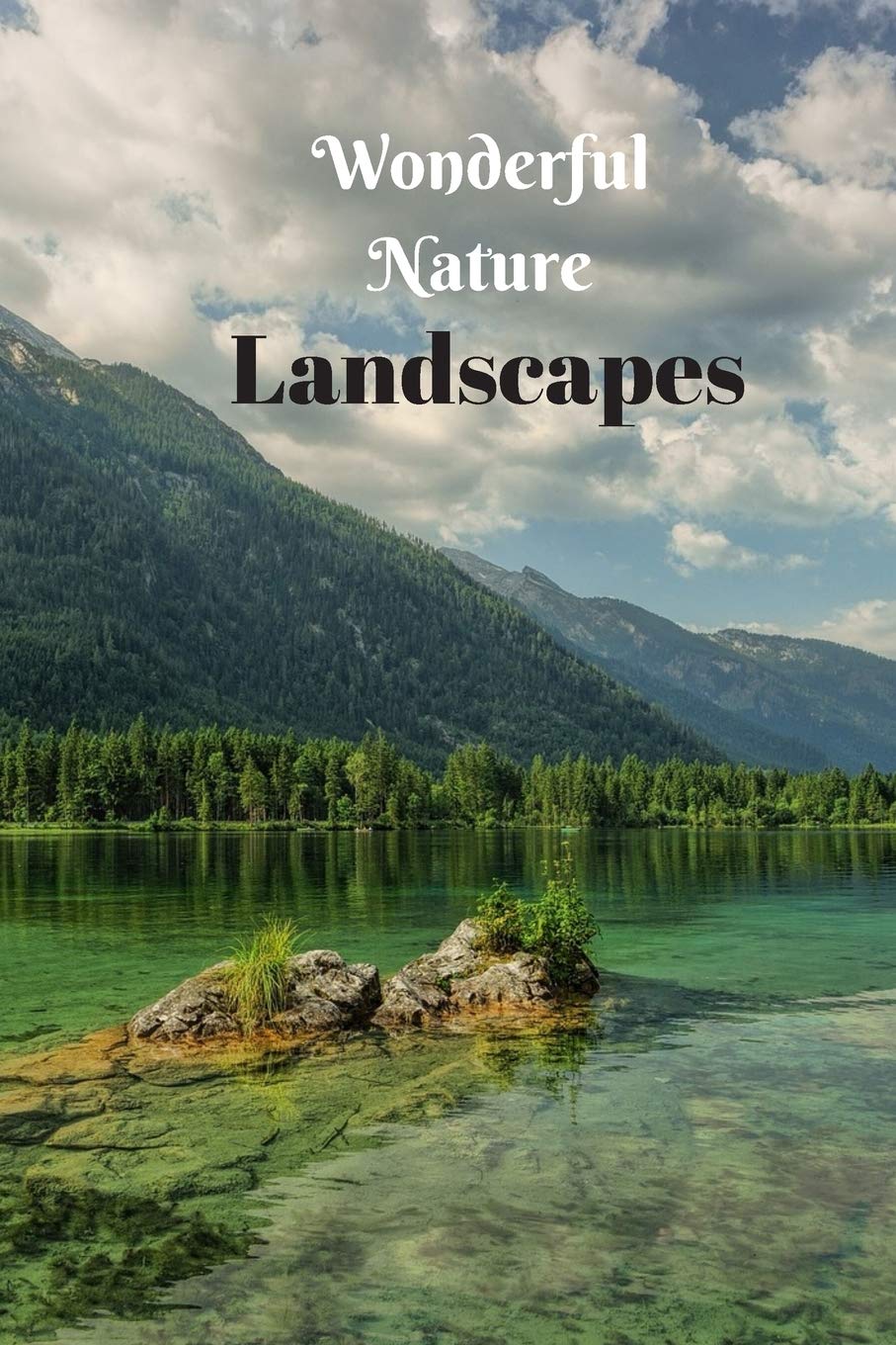 Wonderful Nature Landscapes: Picture book gift for seniors with Dementia or patients with Alzheimer’s. 40 full color photographs of natural landscapes.      Paperback – Large Print, August 13, 2019