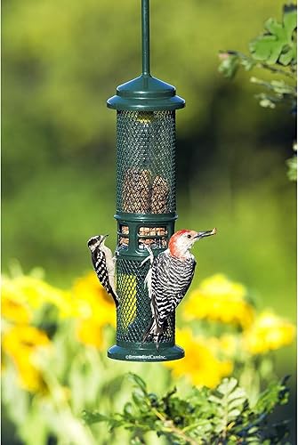 Miniatura 6 de Squirrel Buster Alimentador de nueces a prueba de ardillas para pájaros para nueces y frutas, dos mallas
