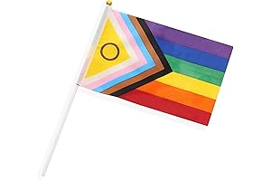 50 Pack 7.9*4.7 Inches New Intersex Progress Small Mini Hand Held Flag