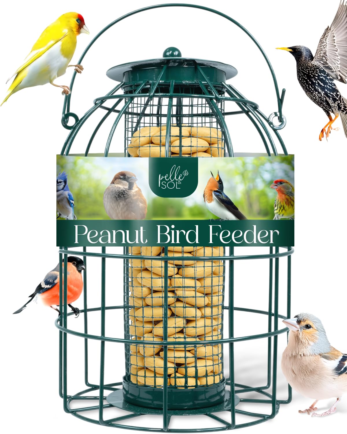 Pelle & Sol Bird Feeder - Peanut Feeder for Wild Birds - Compact Iron Design for Bird Feeders Hanging Station - Weather Resistant, Squirrel Proof, Easy Clean, Hang Anywhere Outdoor Feeders