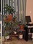 Customer image 1