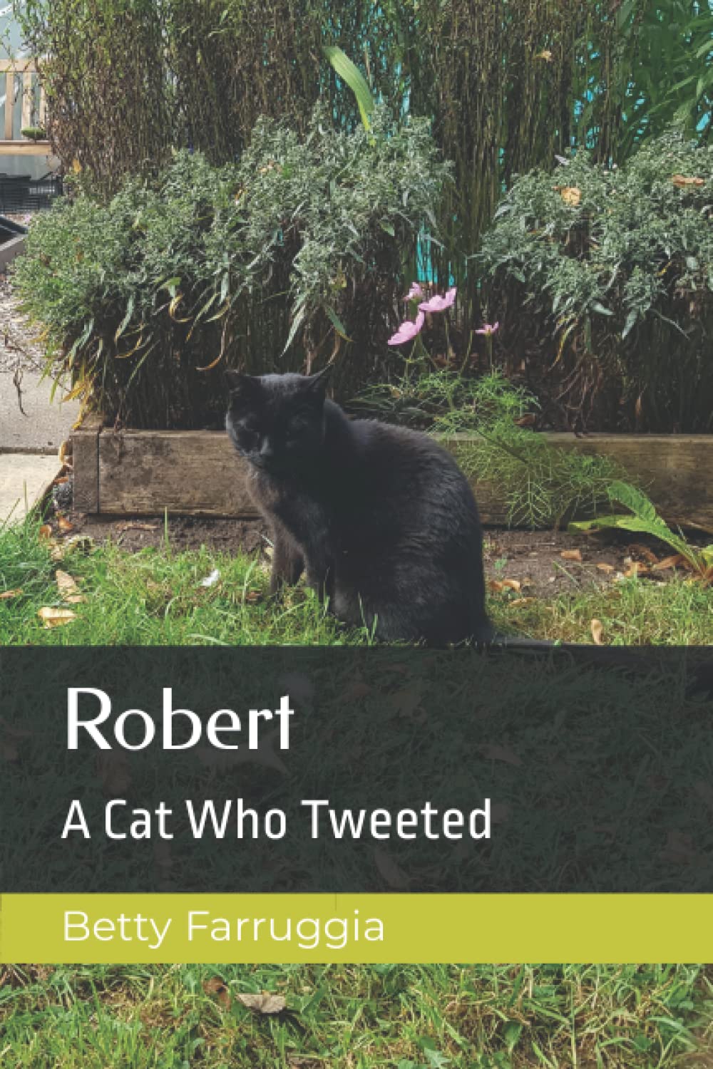 Robert: A Cat Who Tweeted