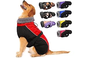 IECOii Extra Warm Dog Coat: A Winter Essential for Your Furry Friend