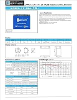 Vista 6 de YT12B-4 GEL 12V 10Ah Batería de repuesto compatible con Ducati 1000 Paul Smart LE 06-3 Pack