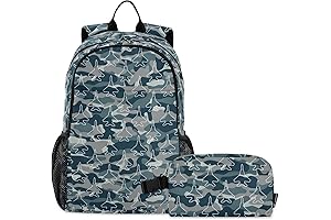 Reusable Jet Backback for School Kids.