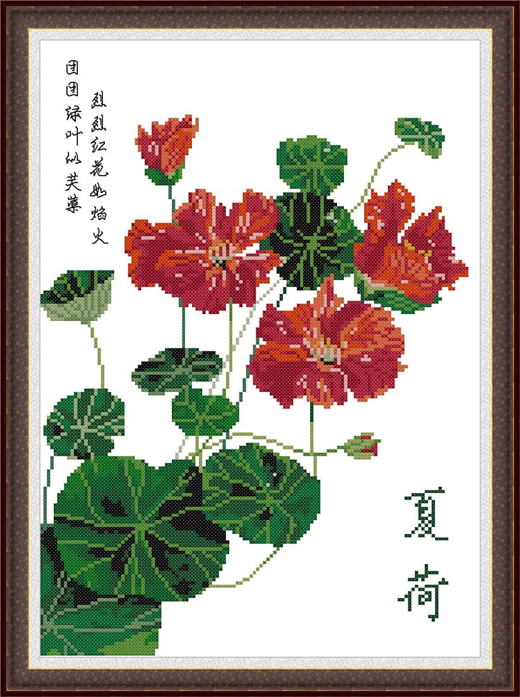 Amiiba Lotus Pond Stamped Cross Stitch Kits, Summer Lotus And Lotus Seed Diy 11Ct 15.3X20.4 Inch (Lotus Pond)