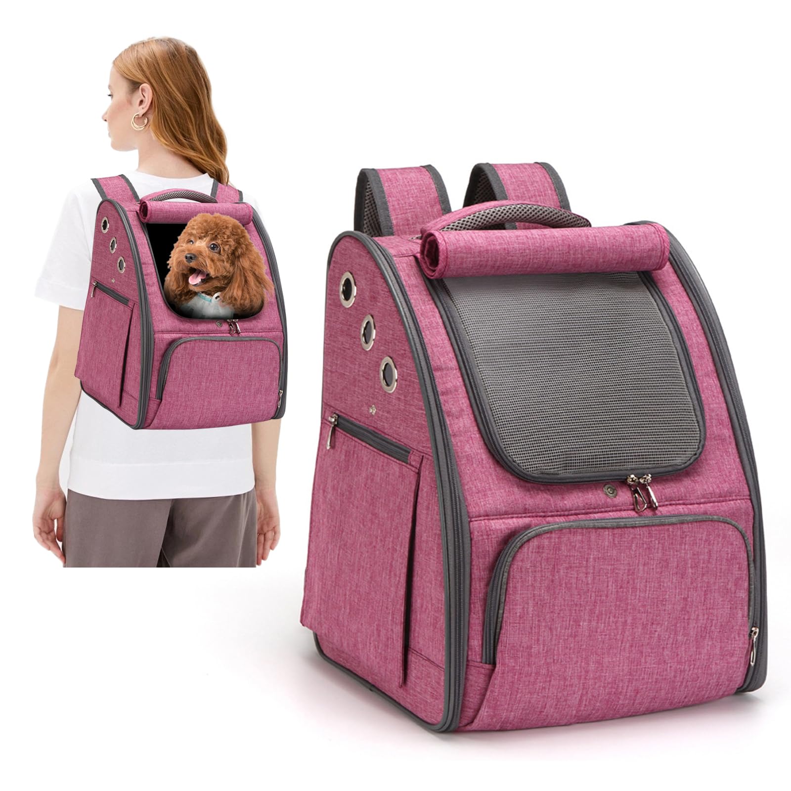 PETCUTE Transportin Gato Mochila Perro Pequeños Bolsa para Transportar Gatos Transpirable Viaje Mochila para Llevar Perros Gato Rojo