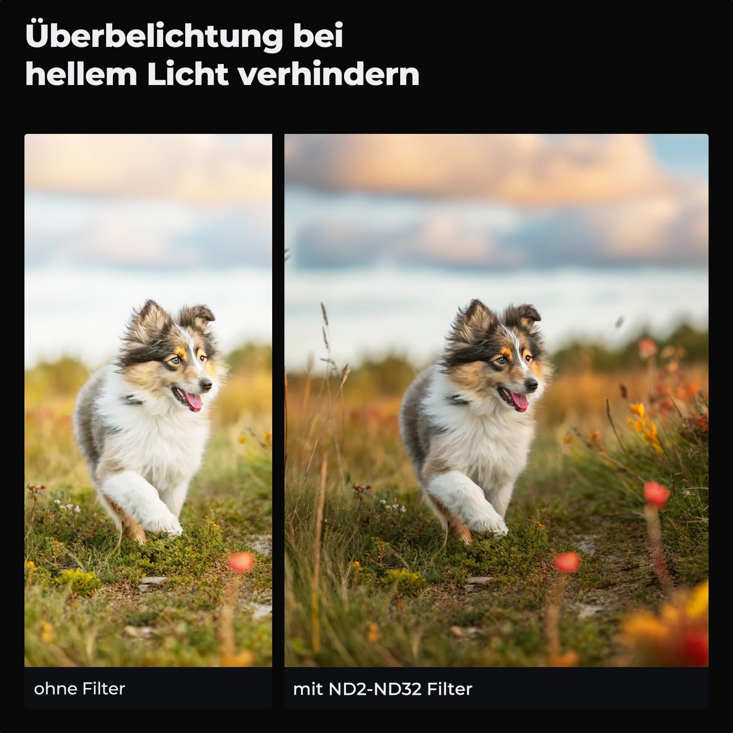 K&F CONCEPT Variabler ND Filter 67mm Variabler Graufilter ND2-32 (1-5 Blendenstufen) für Landschaftsfotografie&Viedofotografie (Nano-Xcel Serie)