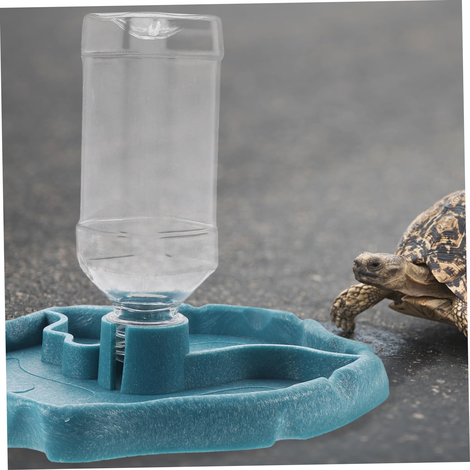 BESTonZON Bearded Dragon Water Dish Automatic Reptile Water Feeder for Tortoise and Lizard Durable Pet Water Bowl Easy to Lake Stable Design