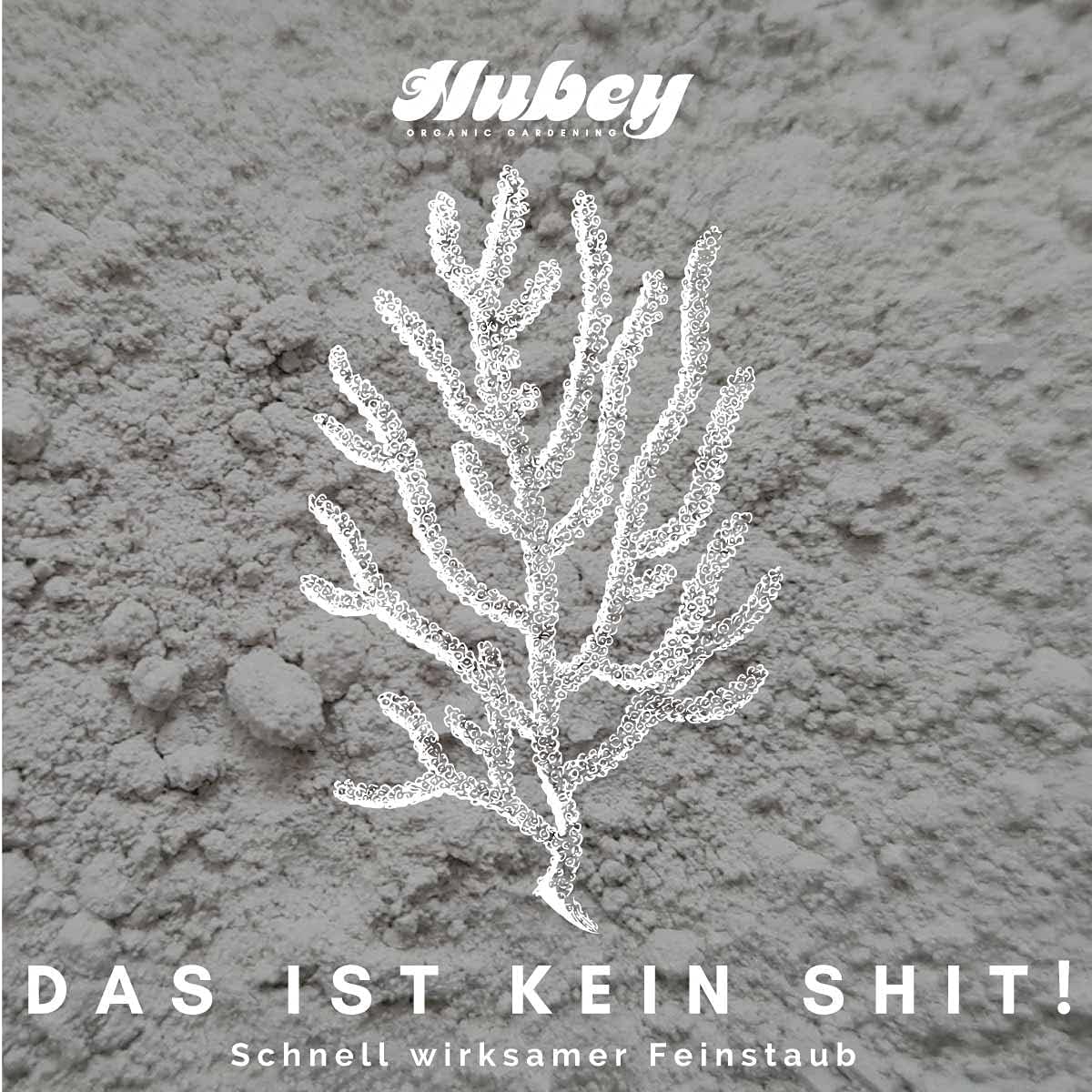 HUBEY Algenkalk 2,5 kg - Bio Gartenkalk für gesunde Pflanzen u. saftiges Gemüse - Natürlicher Bodenaktivator