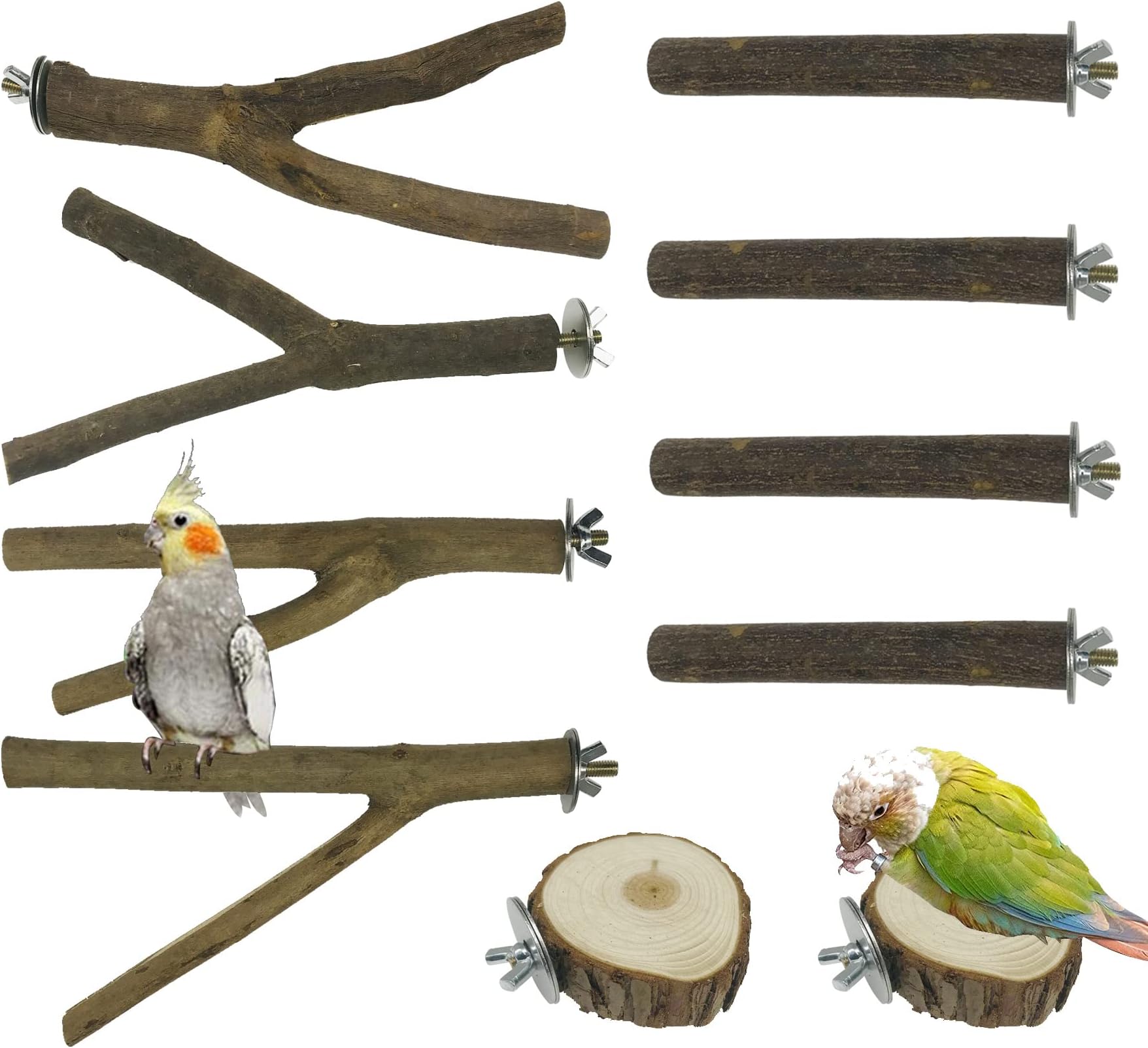 PARROT ESSENTIALS Large Natural Wood Perch for Parrot, African Grey