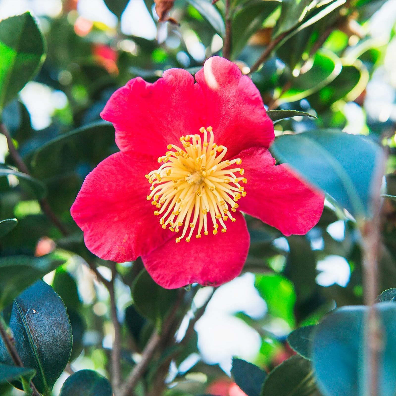 View 3