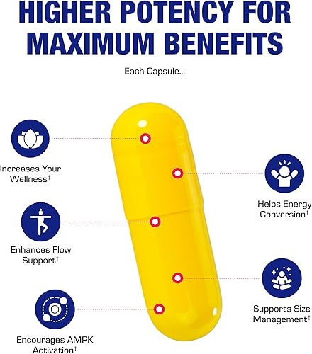 Miniatura 7 de Suplemento de berberina de alta potencia de 500 mg Cápsulas de berberina de fórmula clínica con canela orgánica y cromo para el equilibrio interno,