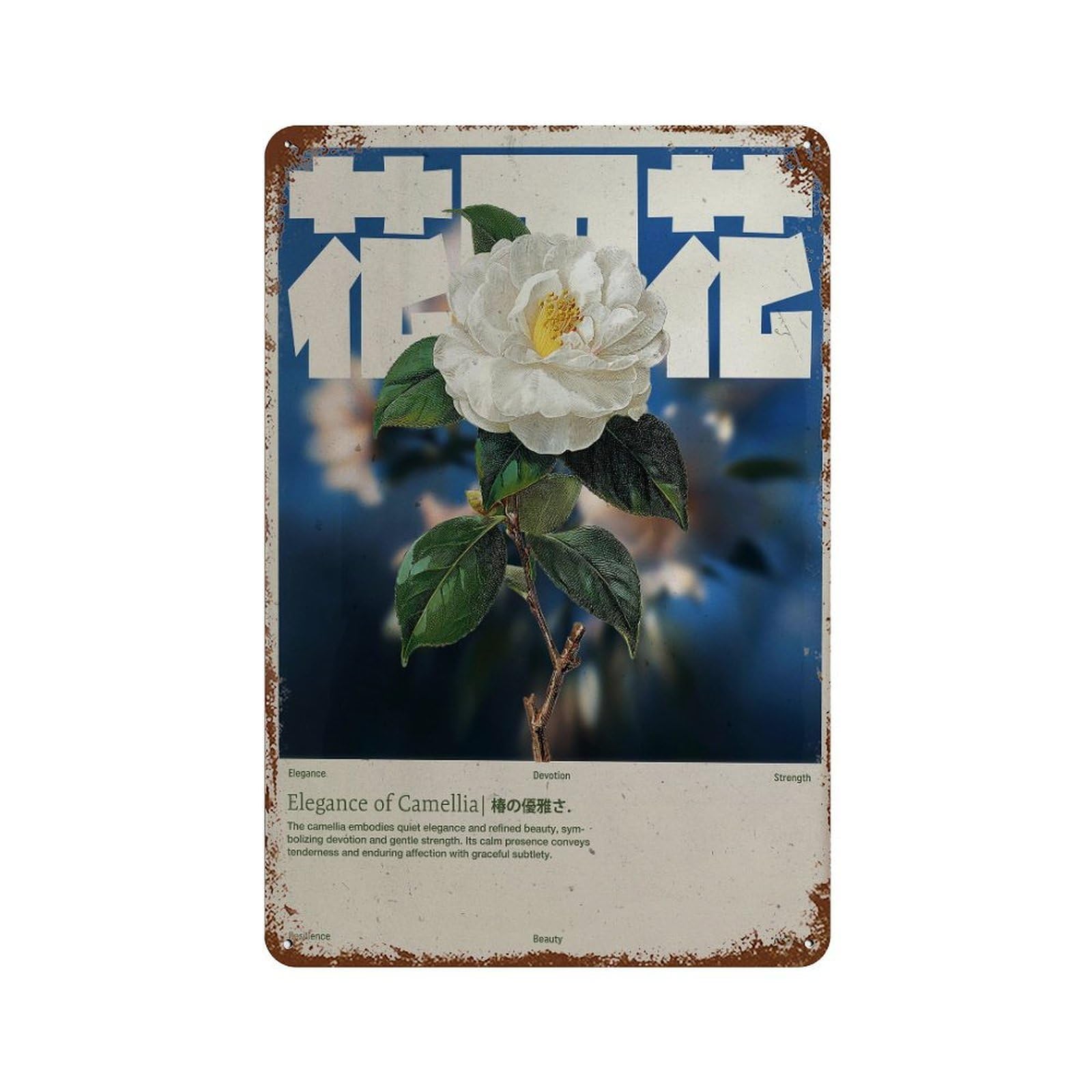 xiaoxiaoshen Camellia Flower. Botanical Retro Indie Wall Decor Art Metal Tin Poster Modern Home Decor Art Home Bar Shop Decorations Vintage Sign 30x20cm