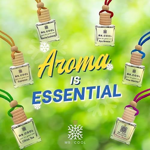 Miniatura 5 de MR. COOL SPA in your Car - Ambientador orgánico para aliviar el estrés, ambientador de aire para coche, 0.3 fl oz (eucalipto marino)