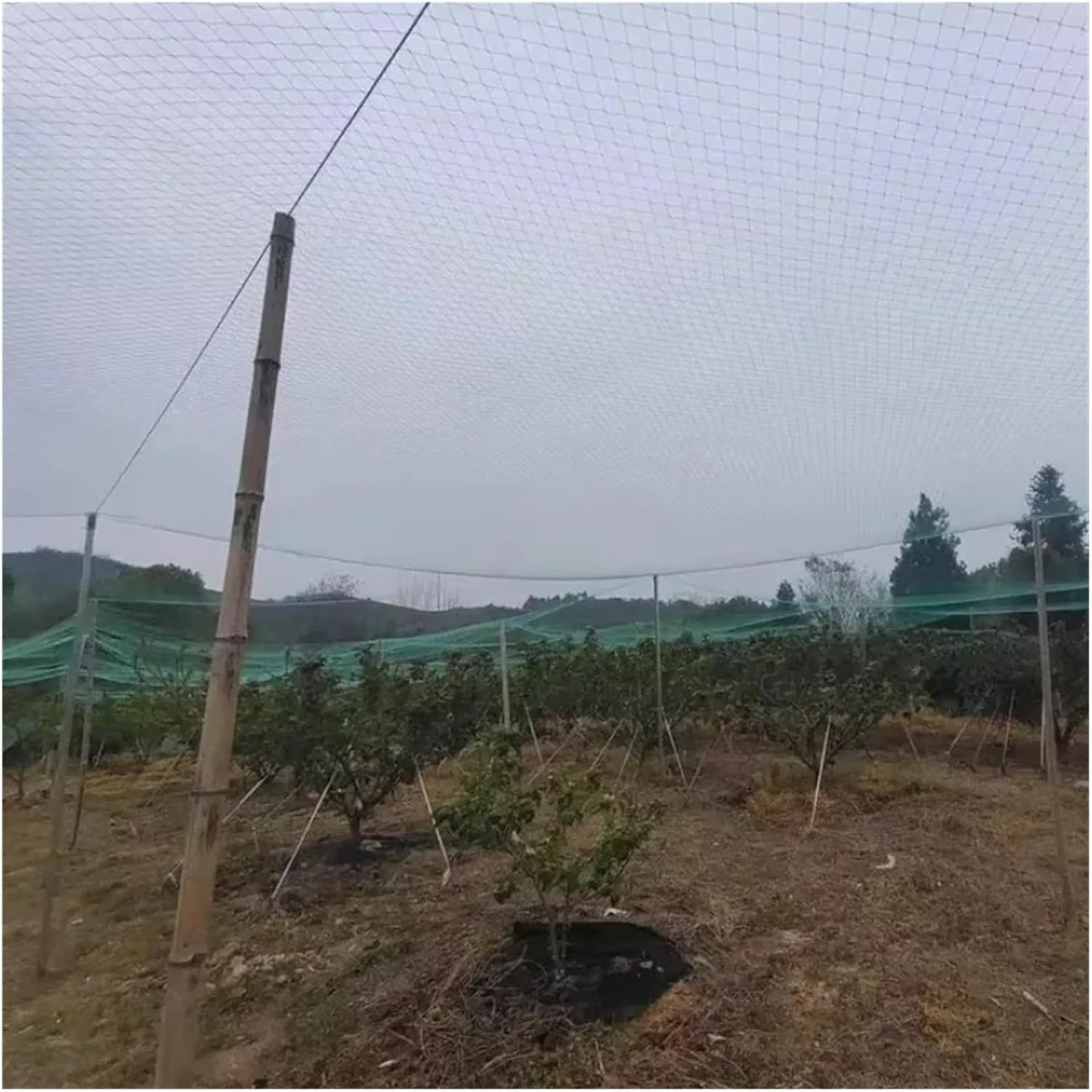 Nylon Anti Bird Netting Garden Bird Proof Net Crops Fish Pond Cherry Tree Fruit Nylon Protective Intercept Dog Cat Deer Fence(Green 18shares 2cm Hole,Wide 4x5m)