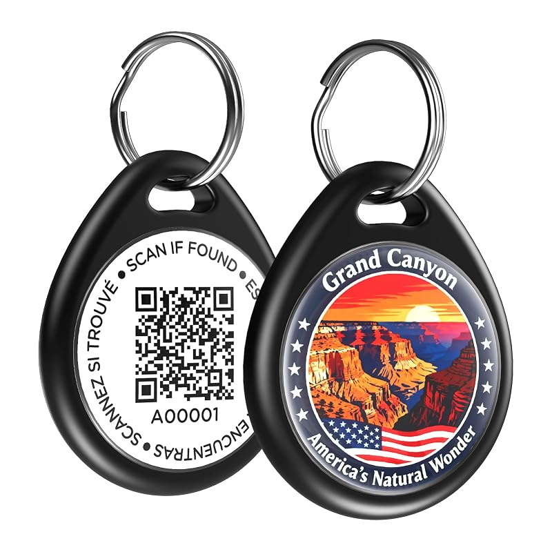 Plaquinha de Identificação com QR Code para Cães e Gatos ILFINDYOU Black Canyon Grande 1 unidade