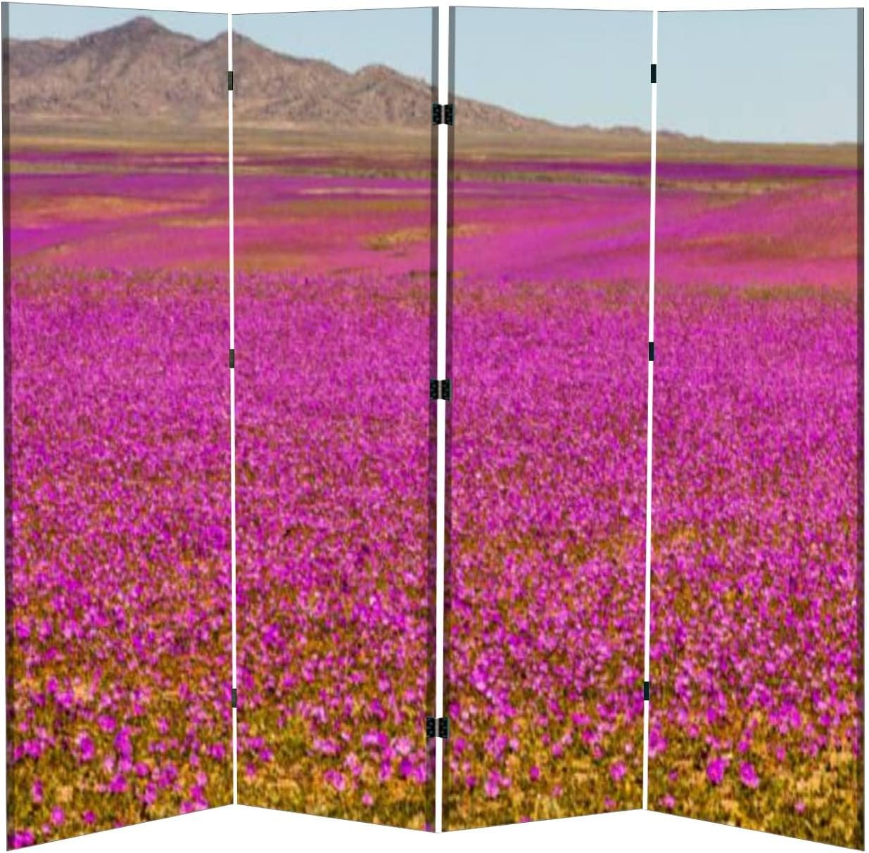 Partition Room Dividers and Folding Privacy Screens A Rare