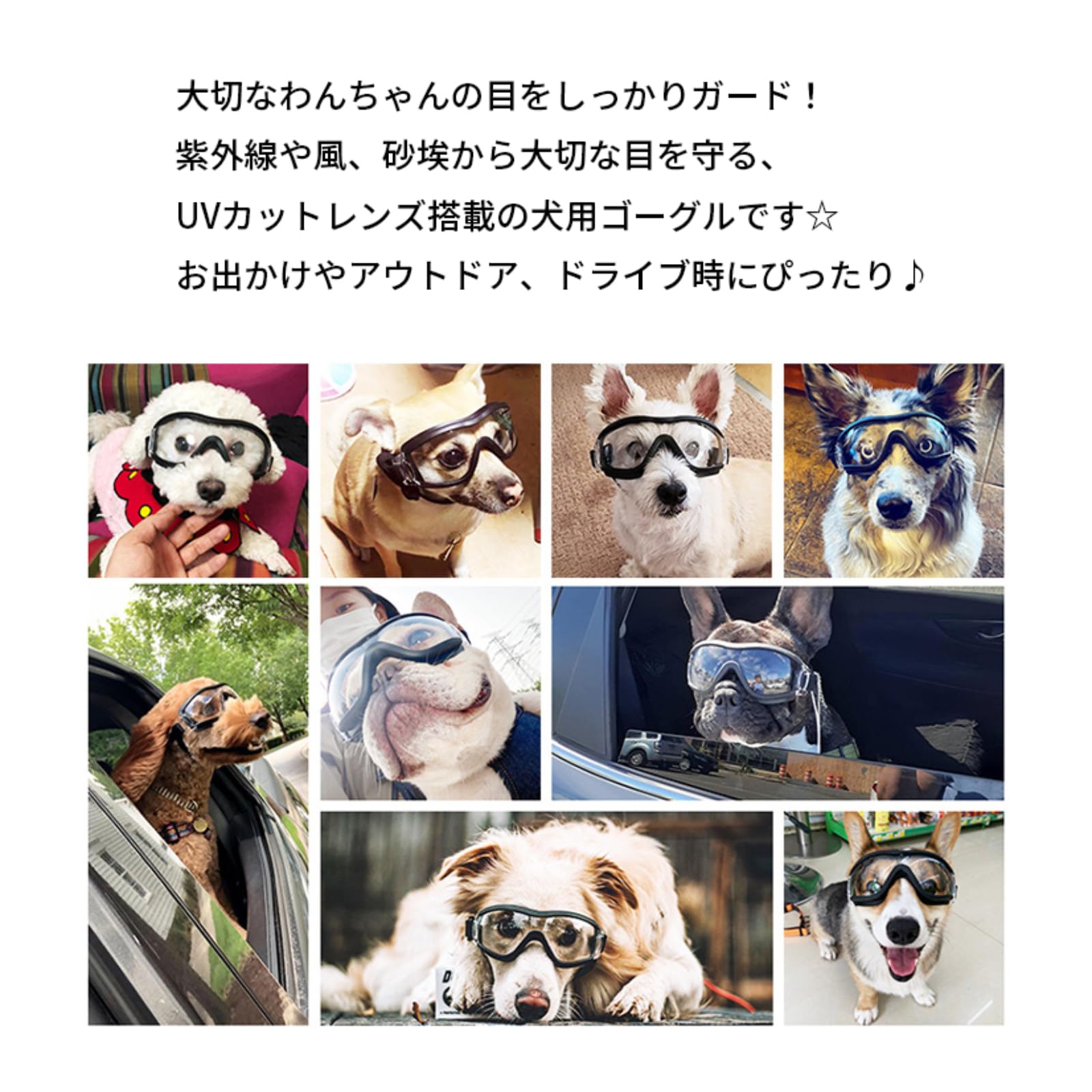 Amazon | 【リニューアル】犬 サングラス ペット用 ゴーグル ミラー