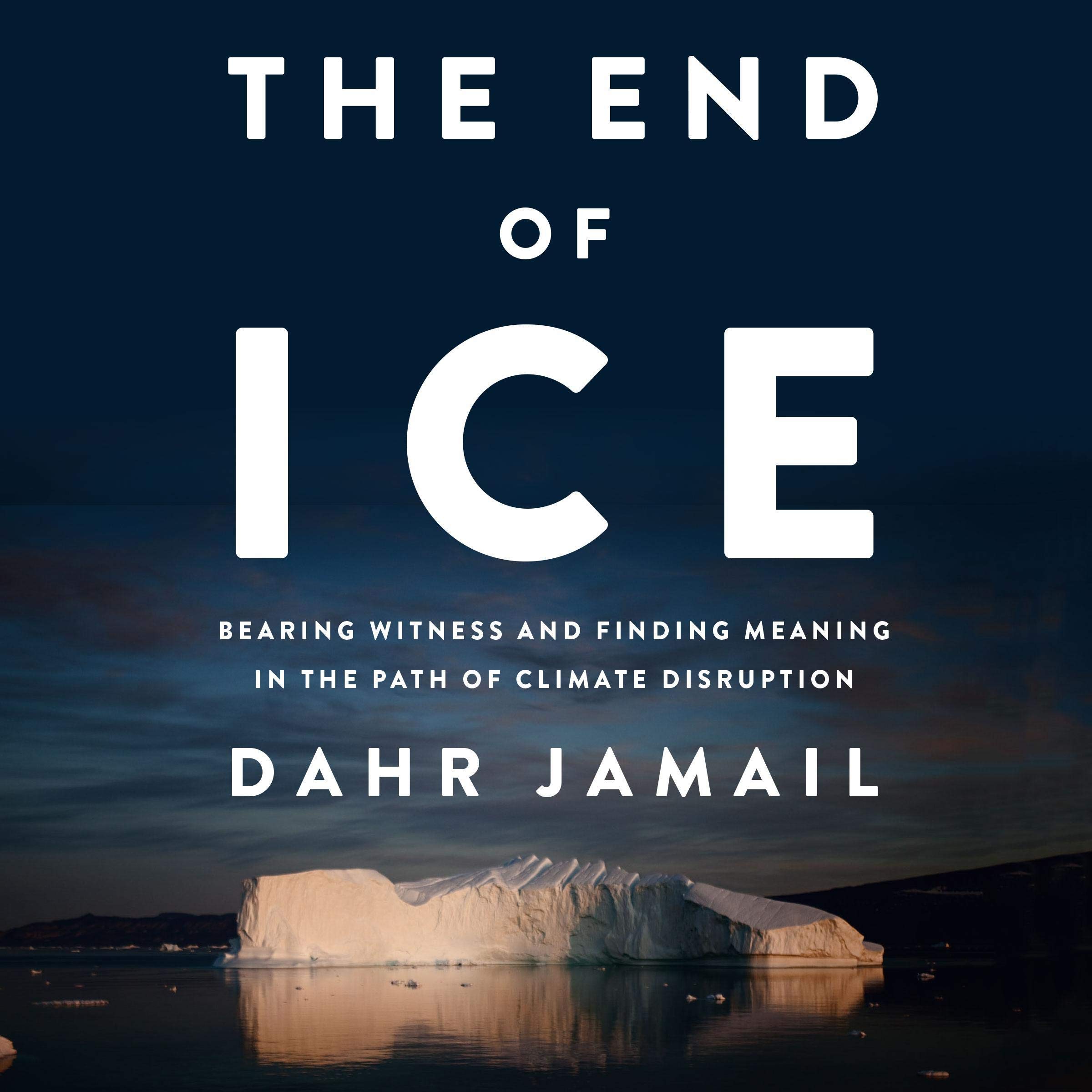 Cover art for The End of Ice