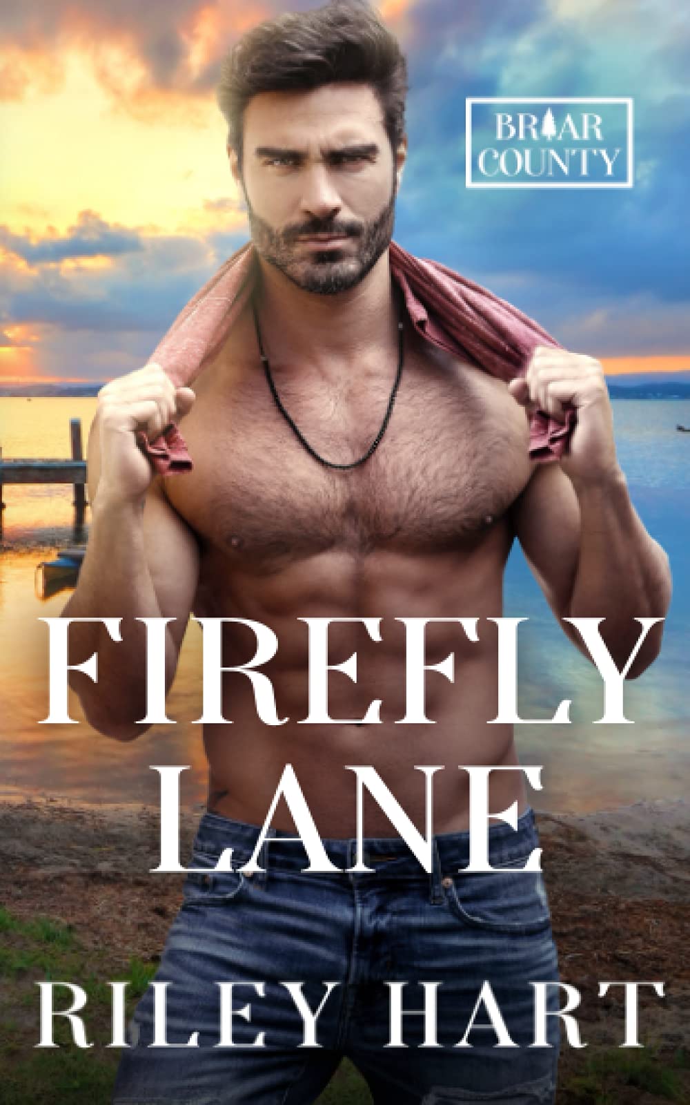 Firefly Lane: A small town, friends to lovers, MM romance (Briar County)