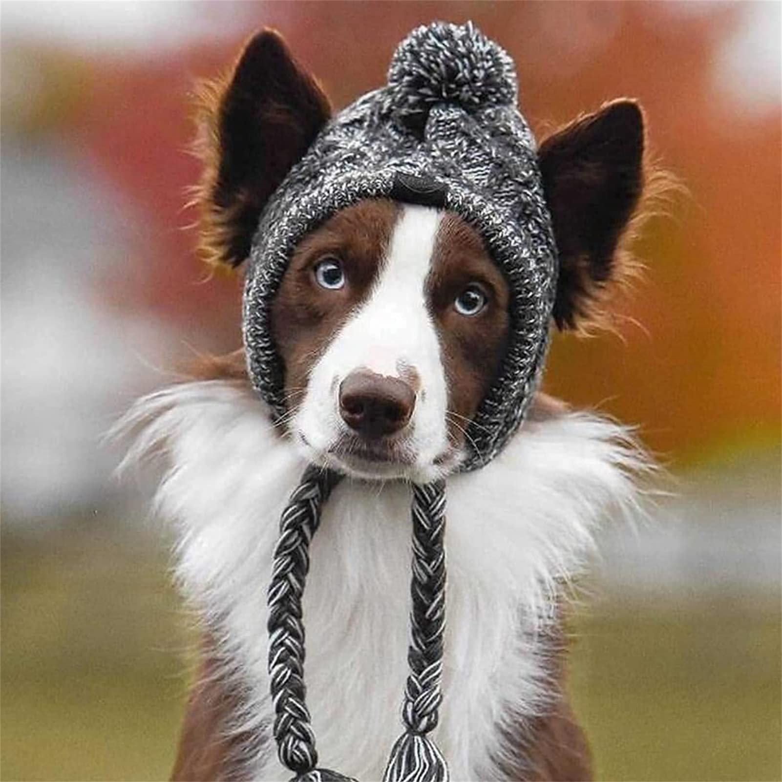 Wintermuts voor honden, hondenmuts, winter, pompon, gebreide muts van