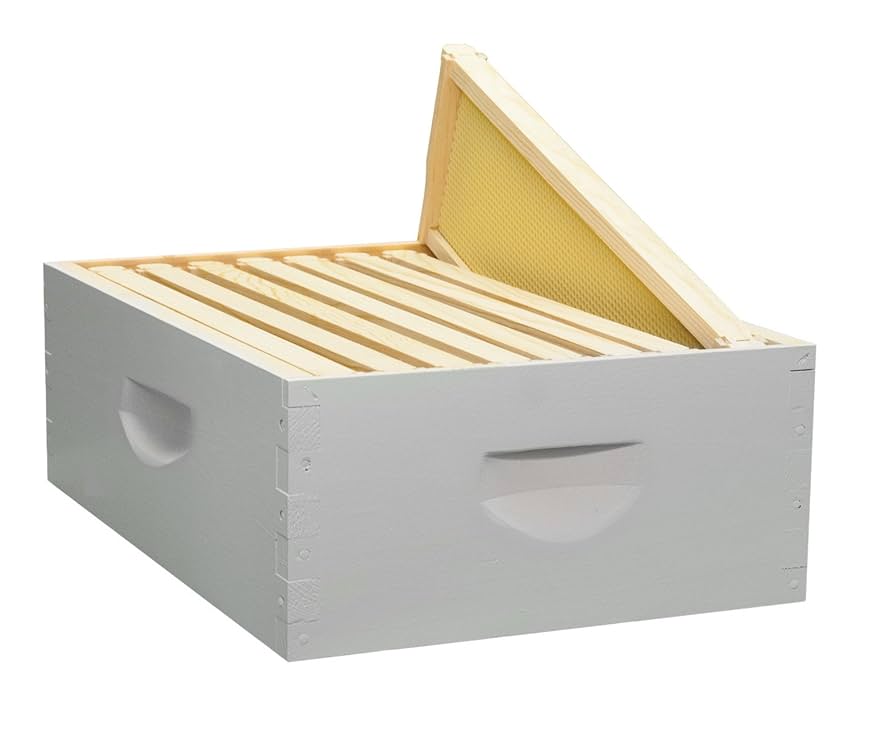 Amazon.co.jp: 8フレーム 組み立て済み ハニー スーパーキット