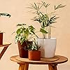 Product Photo 6
