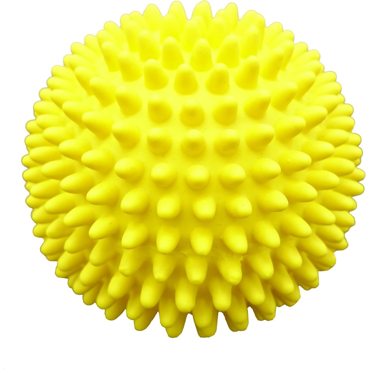 spiky dog ball