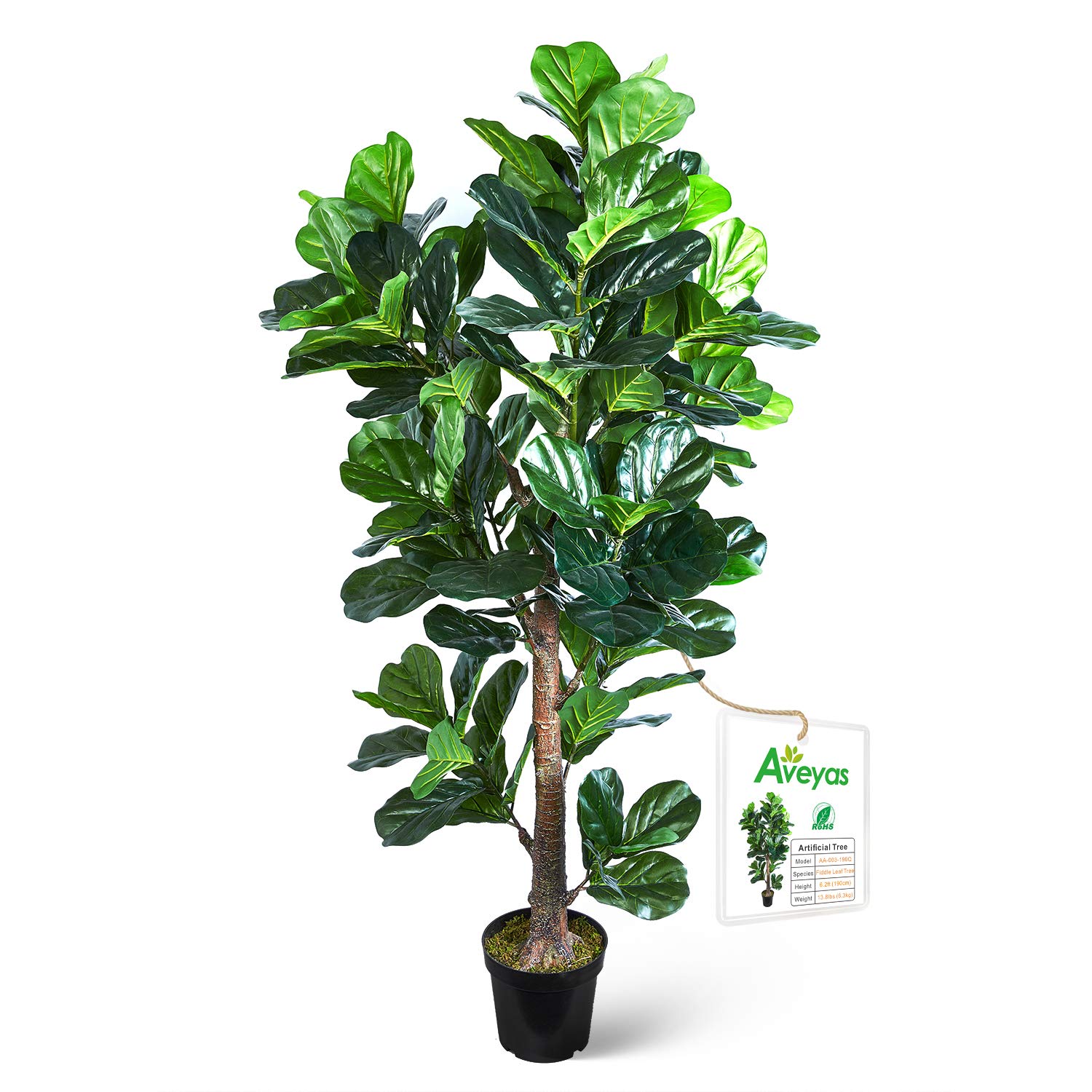 Photo 1 of Aveyas 6ft Artificial Fiddle Leaf Fig Tree in Plastic Nursery Pot, Ficus Lyrata Fake Tropical Plant for Office House Living Room Home Decor ( Indoor / Outdoor ) 6 feet