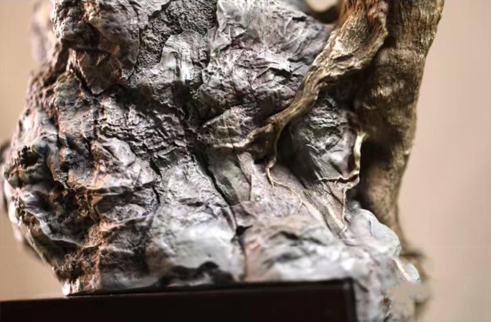 Amazon | BACALYSO | 1/1 スケール トゲブッシュバイパー フィギュア