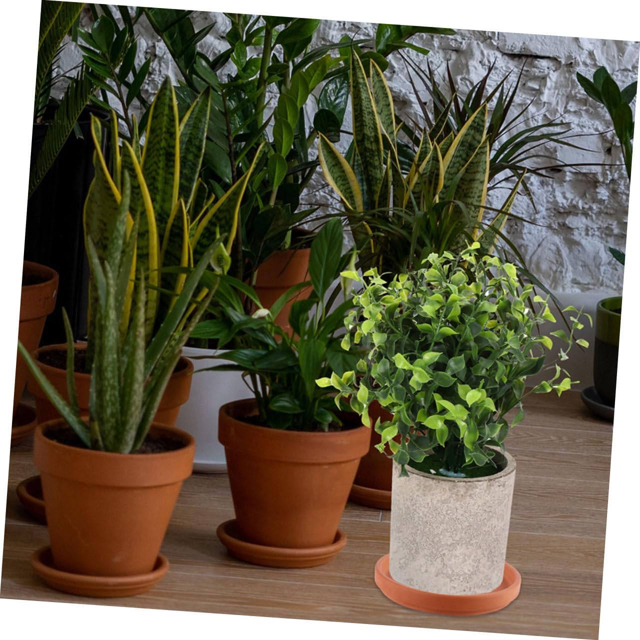 Hemoton 4pcs Round Plant Drainage Trays for Indoor Potted Plants Saucers to Prevent Water Leakage Suitable for Pots Easy to Clean and Maintain