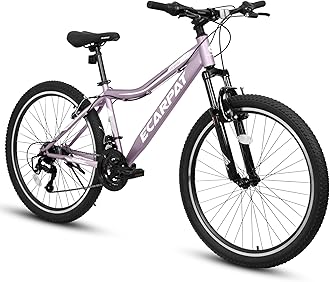 Student Mountain Bike 24 26 Inch, 21-Speed Disc, for Mens Womens, School Trail Commuter City Snow Beach Mountain Bikes Bicycles