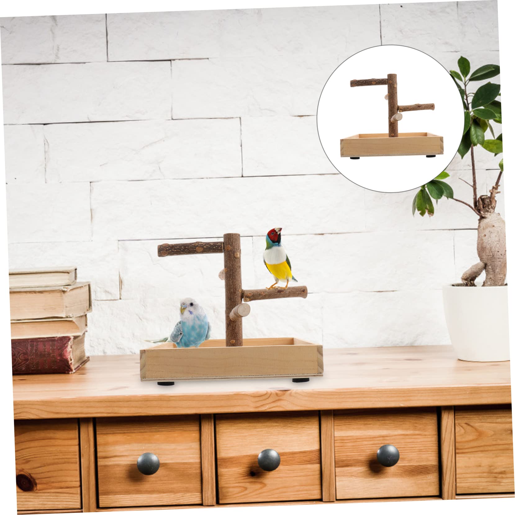 DOITOOL de Pájaros de Madera para Loros Pequeño Superficie Rugosa para Entrenamiento, Soporte de Juego para Mascotas, Accesorio para Jaulas y Ejercicio de Patas