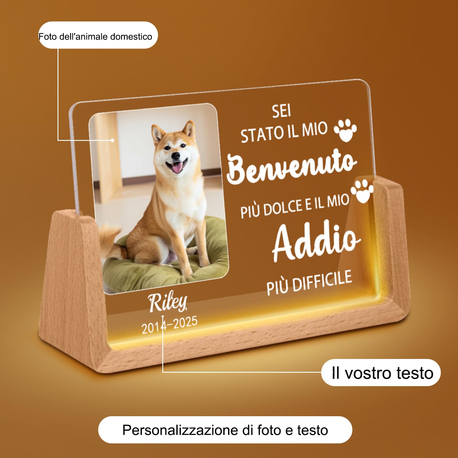 Luminaria Personalizzata per Cani,Lampada LED con Foto & Nome del Cane, Design con Cuore & Impronte, Regalo Commemorativo per la Perdita dell'Animale Domestico con Data (Style D)