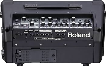 Amazon.com: Roland Cube-ST Street EX Battery-Powered 50-Watt