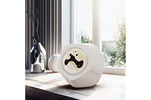 Anti-Gravity Ferrofluid Levitating Magnetic Speaker