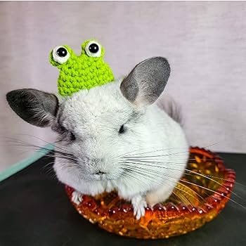 ハムスター帽子 Amazon.co.jp: 小動物の帽子、ハムスター用の小さな帽子, 調節可能な