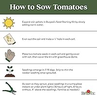 Vista 6 de Burpee "San Marzano" Heirloom, Tomate para pasta, 75 semillas no transgénicas
