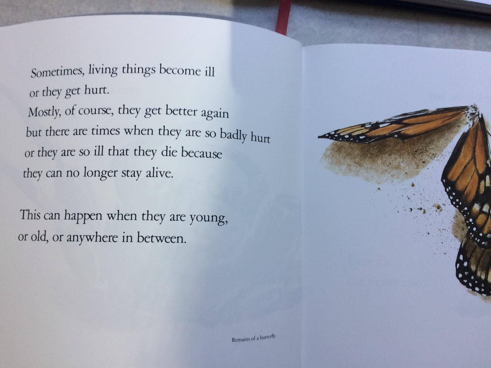 Lifetimes The Beautiful Way to Explain Death to Children Amazon.co.uk