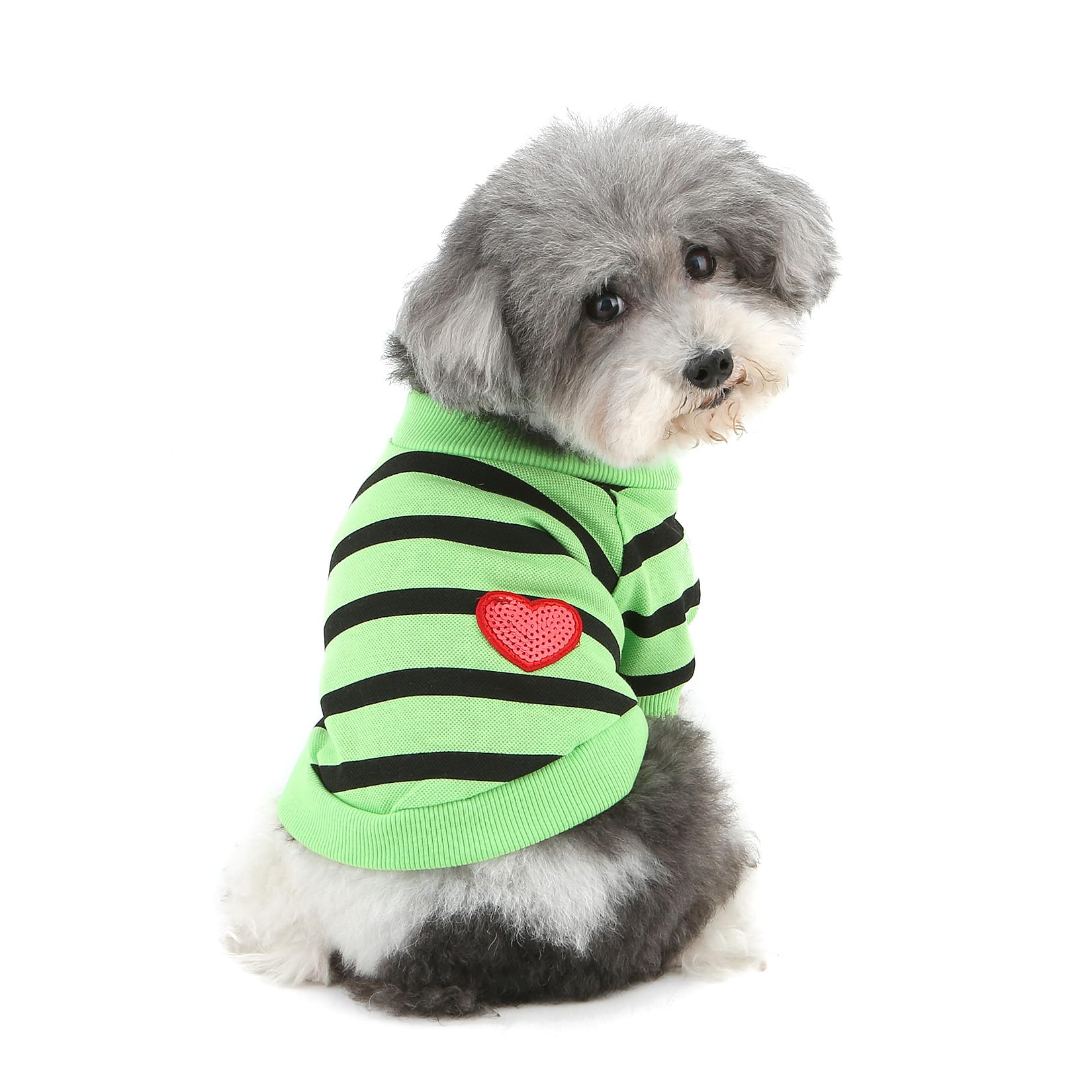 Ranphy Sequin Heart Dog T-Shirt for Small Dogs and Cats, Green, XL