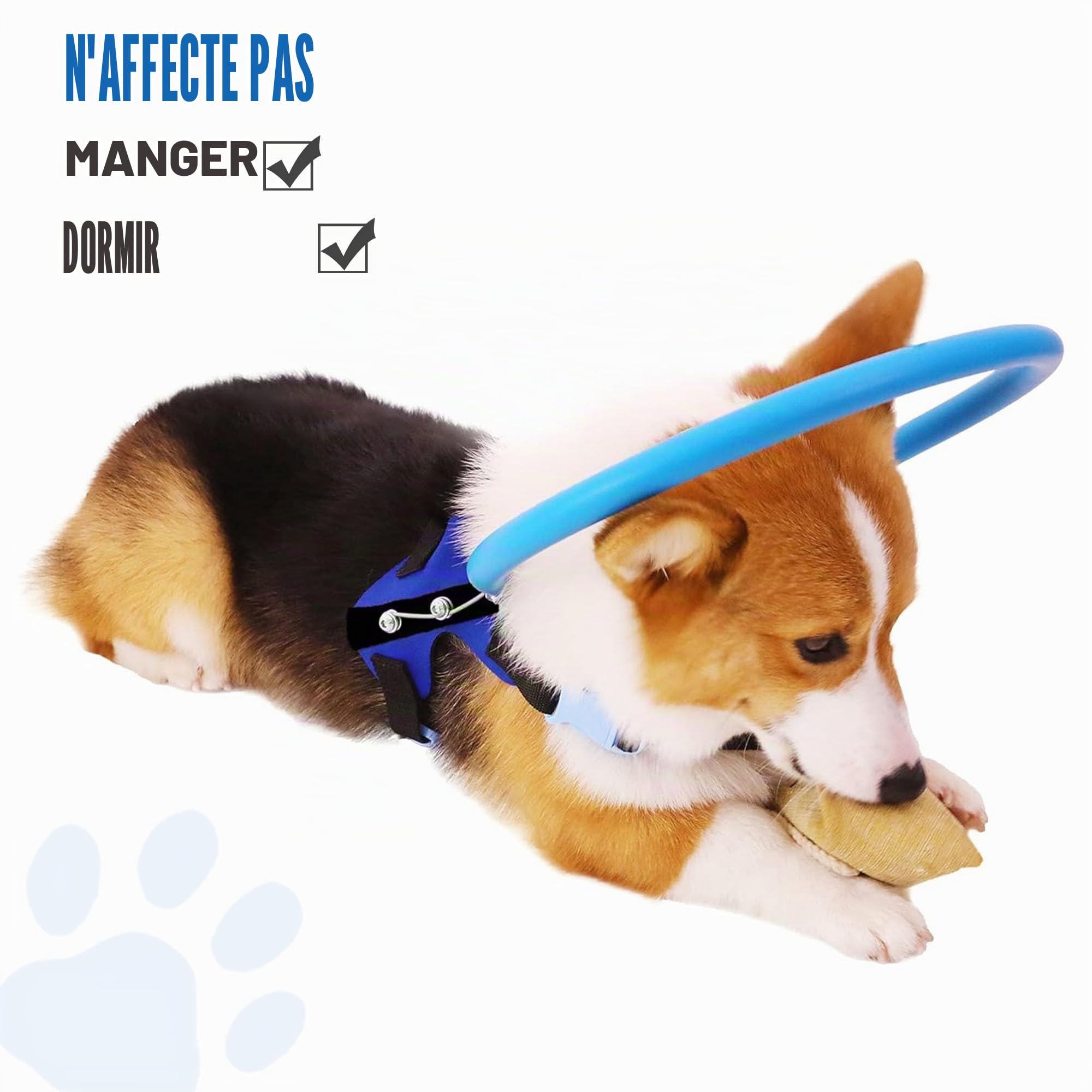 Harnais Halo pour Chien Aveugle, Collier Halo de Protection pour Chiens Aveugles, Harnais de Renforcement de Confiance Dispositif de Guidage, Accessoires pour Chiens Aveugles, Moyen